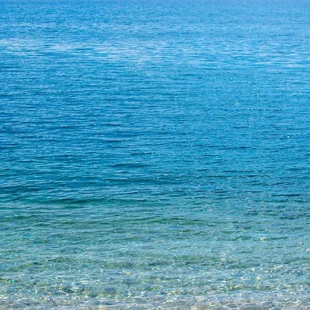 Tonka Roberta * ツリクヴェニツァ