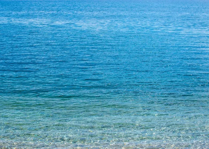 Tonka Roberta * קריקווניצה